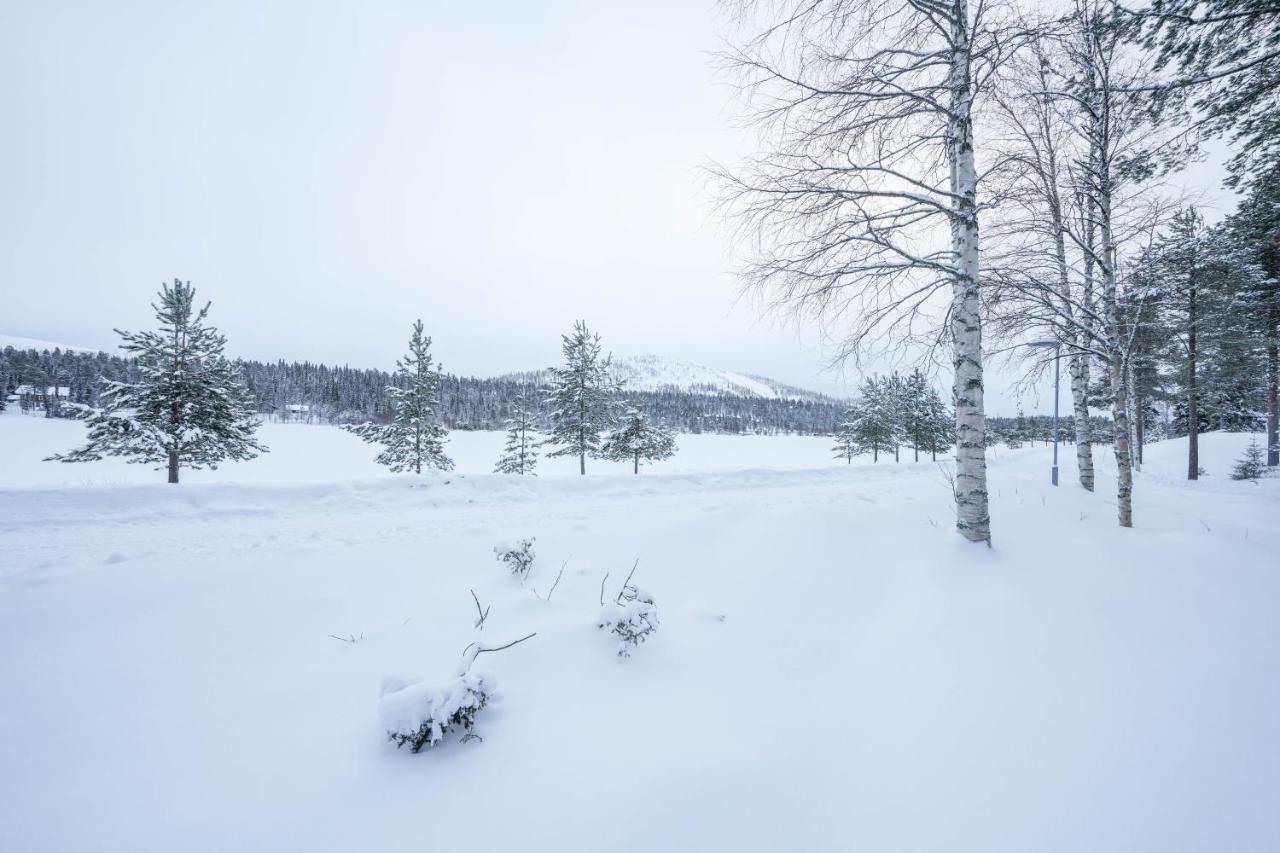 Kuuru Lakeside Salla Luaran gambar